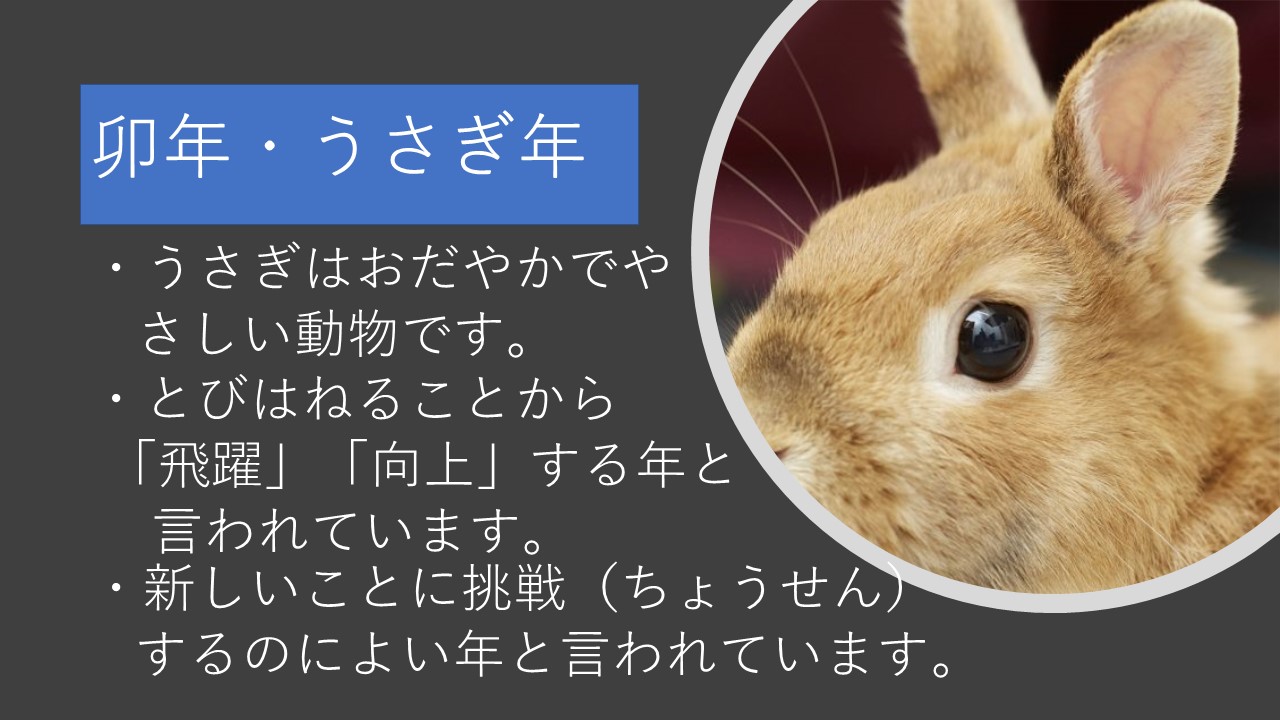 スライド5 スライド5