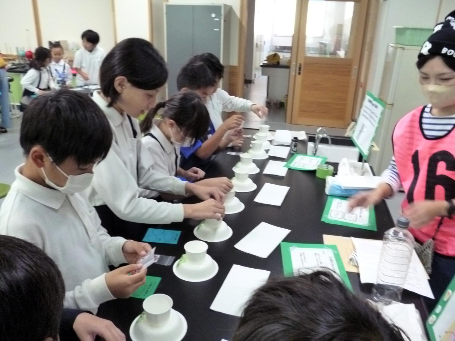 理科室での実験その1