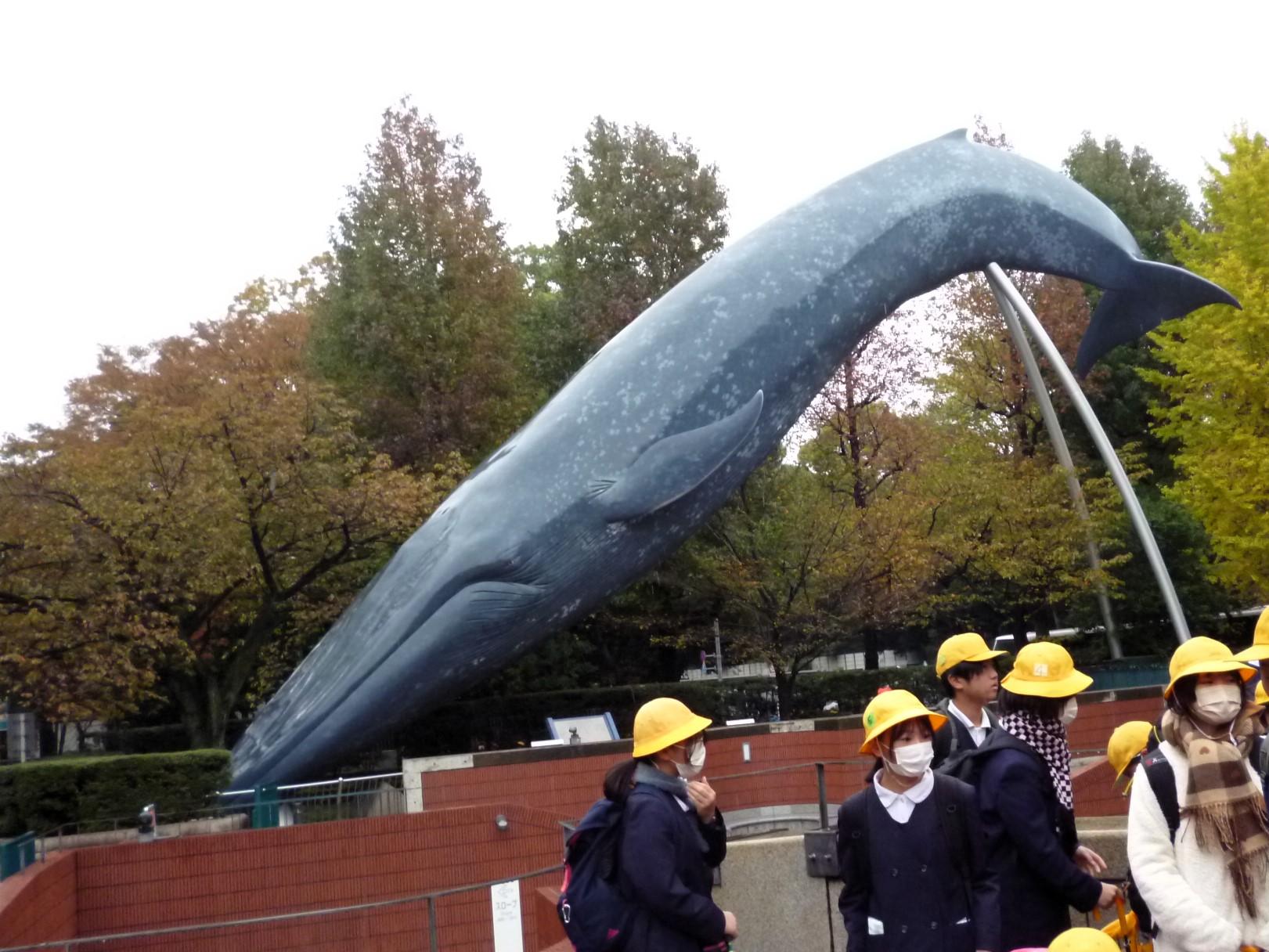 国立科学博物館に到着しました