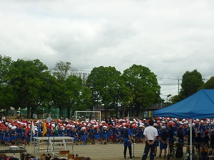 P1200828 P1200828