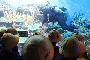 IMG_1639 (1) IMG_1639 (1)