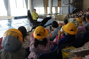 IMG_1845 IMG_1845