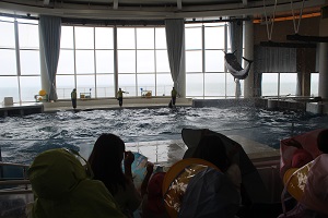 IMG_1881 (1) IMG_1881 (1)