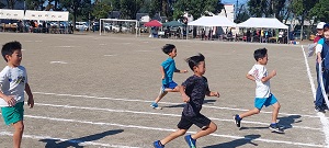 20241013_091213 20241013_091213