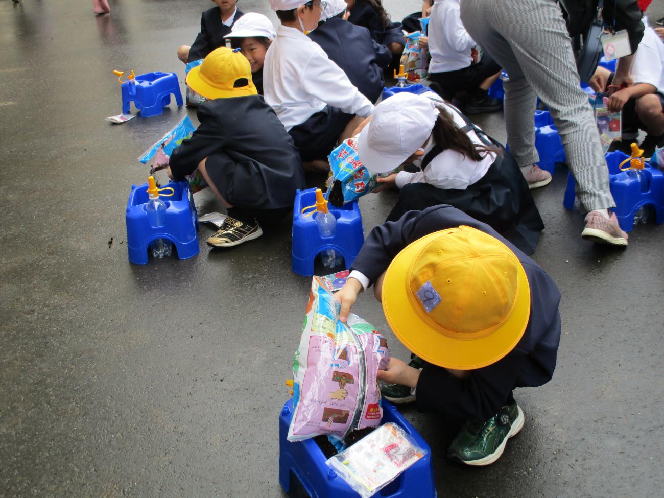 IMG_3050 IMG_3050