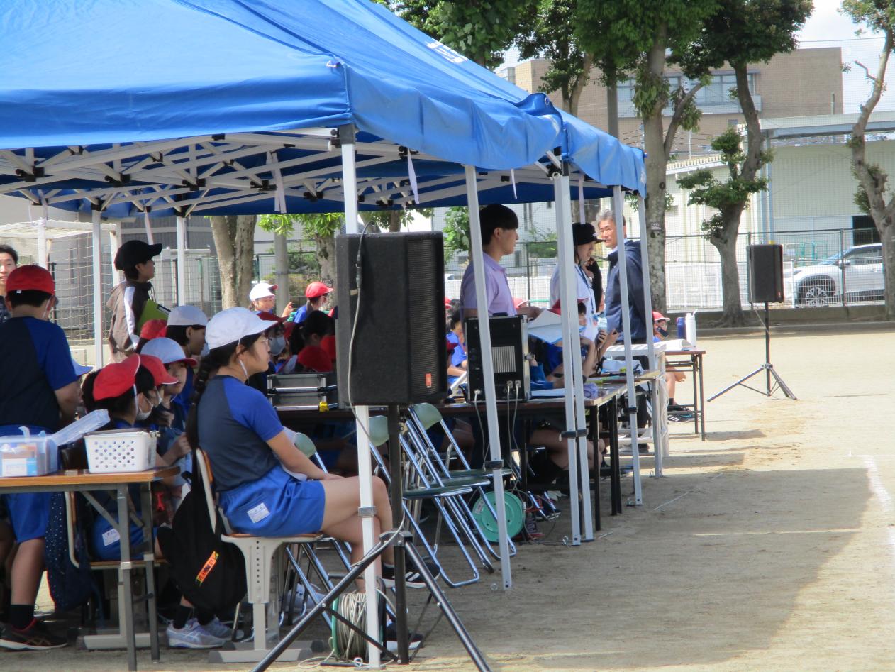 IMG_3175 IMG_3175