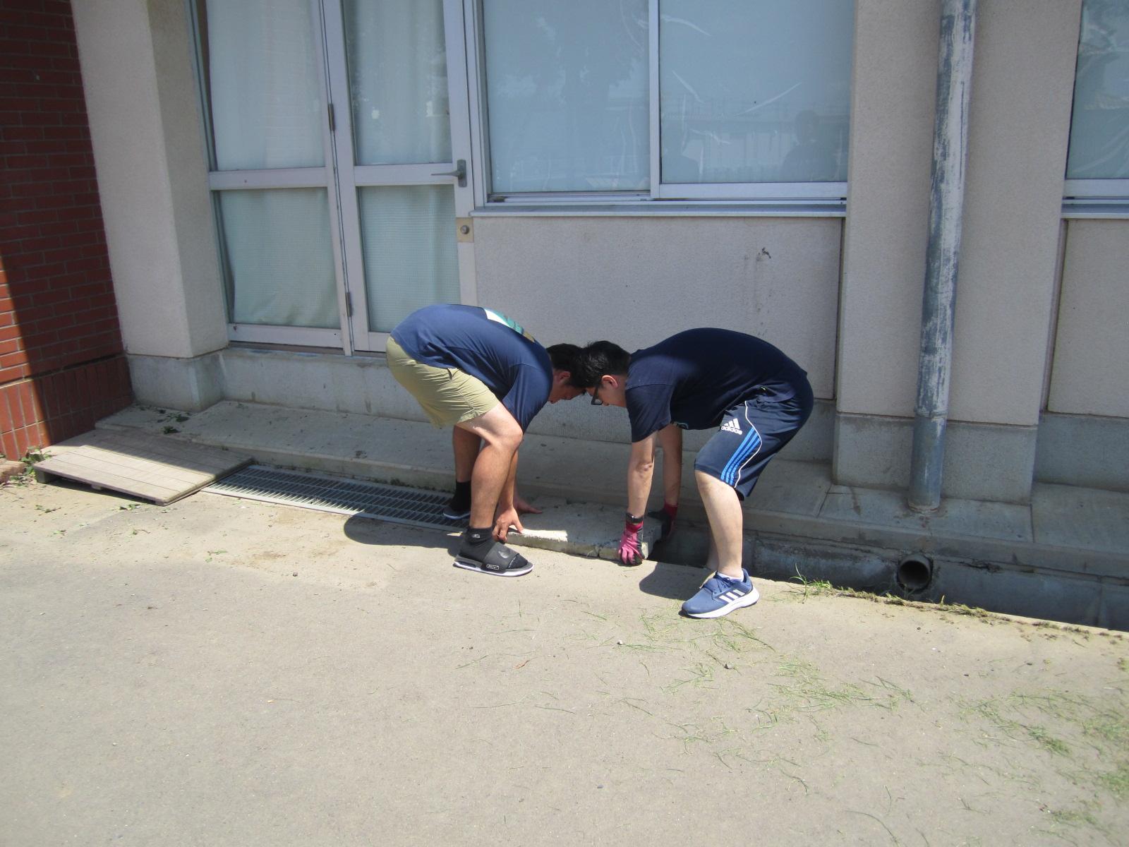 IMG_0121 IMG_0121