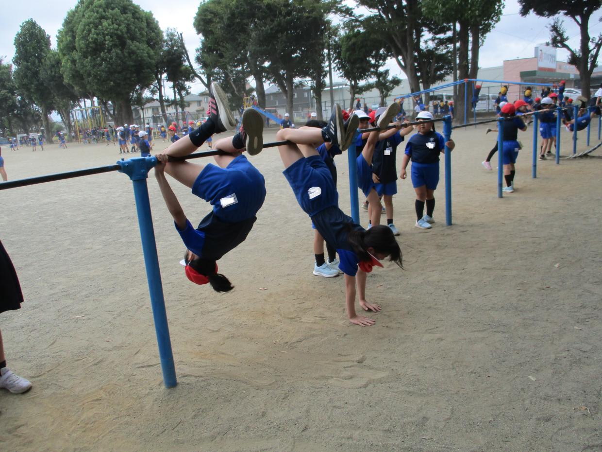 IMG_3792 IMG_3792