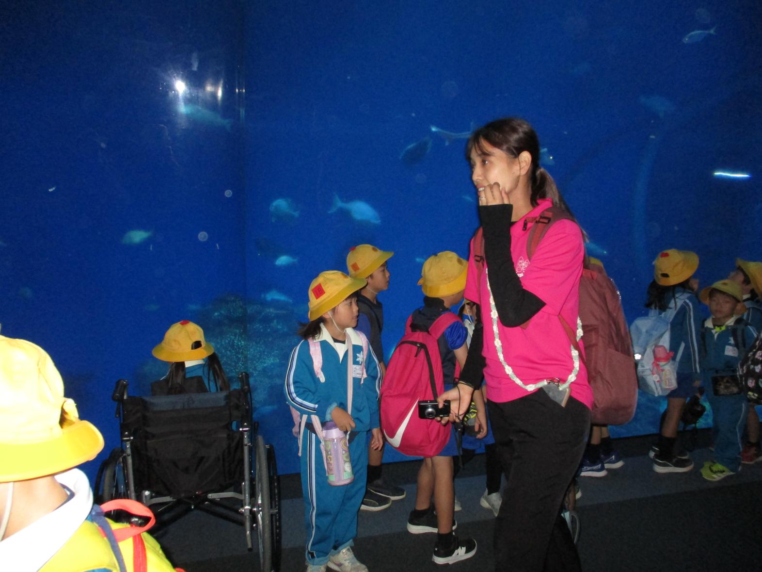 IMG_4141 IMG_4141
