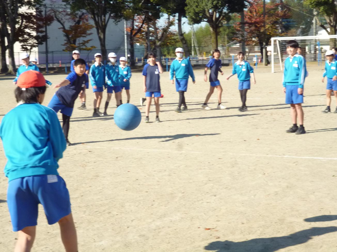 P1130394 P1130394