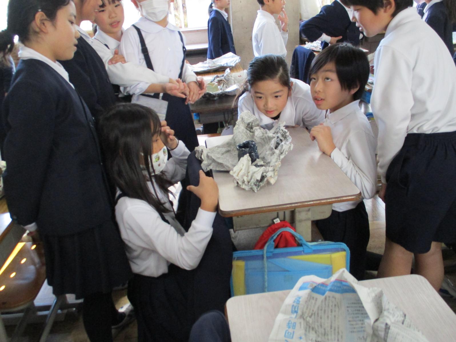 IMG_4313 IMG_4313