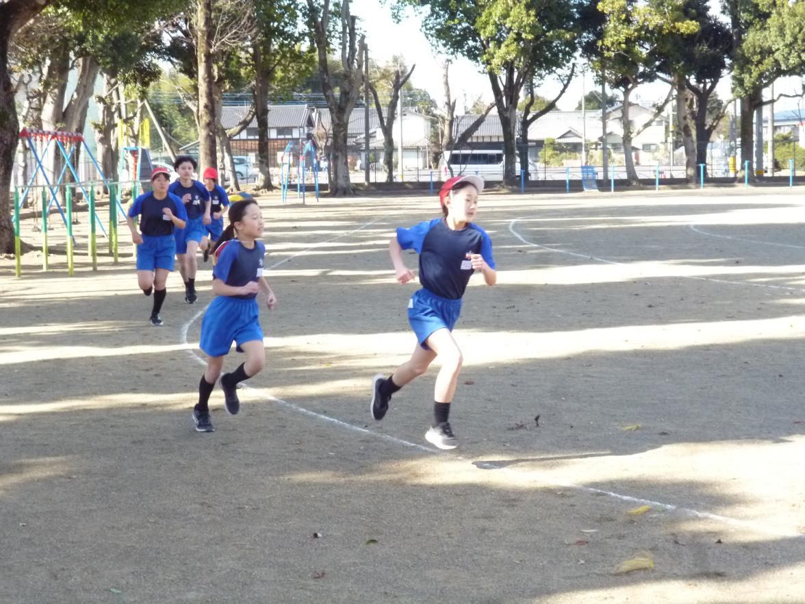 P1130449 P1130449