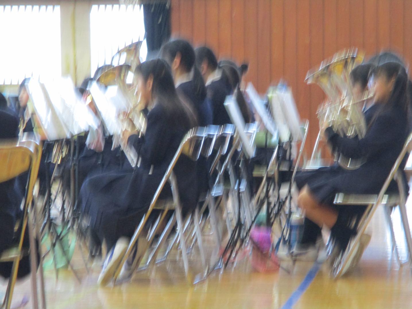 IMG_4804 IMG_4804