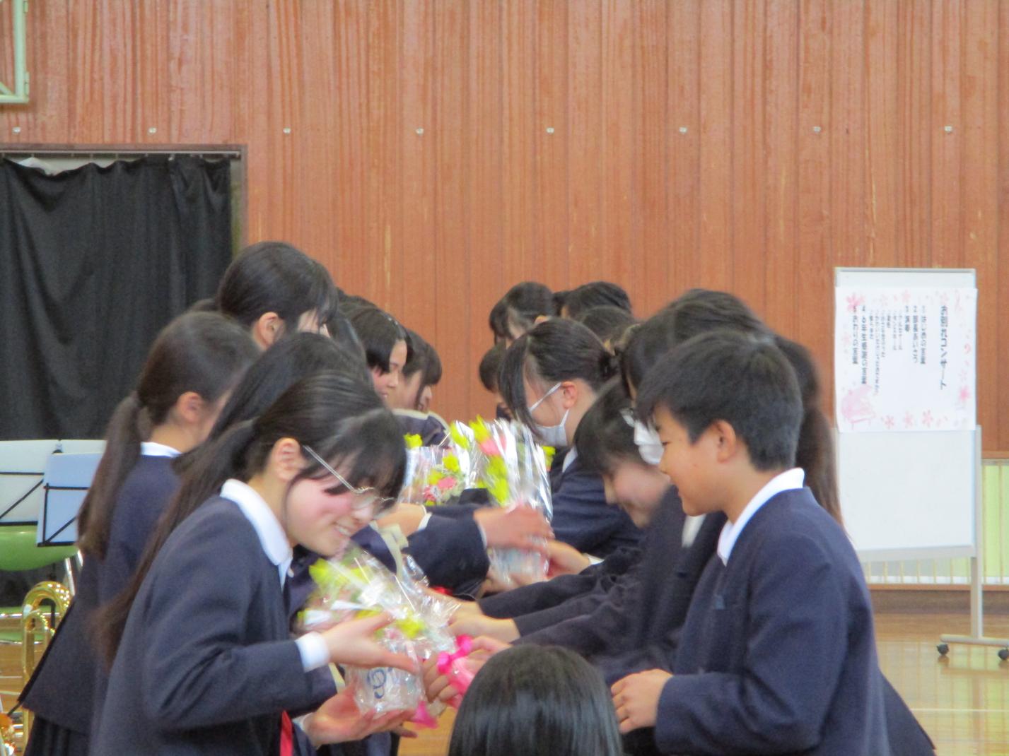 IMG_4812 IMG_4812