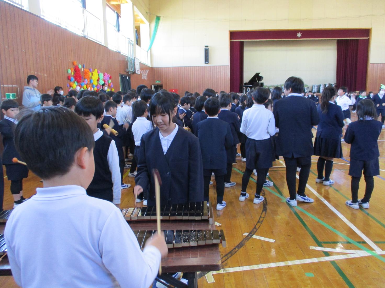 IMG_4889 IMG_4889